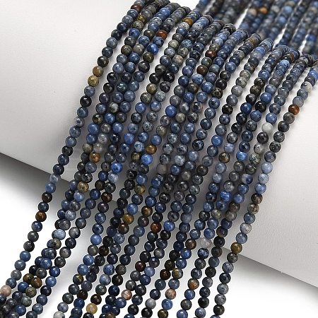 Natural Dumortierite Beads Strands G-Z116-A26-2mm-1