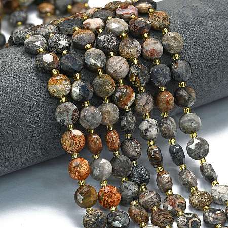 Natural Fossil Coral Beads Strands G-C116-A132-01-1