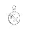 Non-Tarnish 304 Stainless Steel Charms STAS-T036-T513-A9-1