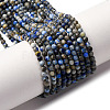 Natural Lapis Lazuli Beads Strands LS-G-L629-B01-2mm-03-2