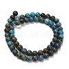Natural Chrysocolla Beads Strands G-C289-B02-6mm-4