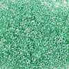 12/0 Glass Seed Beads X-SEED-A015-2mm-2218-2