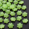 Imitation Jelly Acrylic Beads MACR-S373-92-E06-1