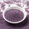 MIYUKI Round Rocailles Beads X-SEED-G009-RR4489-4