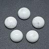 Natural Howlite Cabochons G-P393-R32-4MM-1