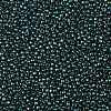 TOHO 8/0 Round Beads X-SEED-TR08-0506-2