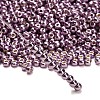 TOHO 6/0 Round Beads X-SEED-TR06-PF0554-2