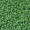MIYUKI Delica Beads X-SEED-J020-DB0163-3