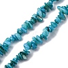 Natural Freshwater Shell Beads Strands BSHE-I016-01A-1