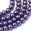 Baking Paint Pearlized Glass Pearl Round Bead Strands HY-Q003-4mm-59-1