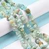 Natural Flower Amazonite Chips Beads Strands G-M205-12B-4