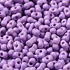 Baking Paint Glass Seed Beads SEED-K009-01A-11-3