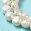 Natural Cultured Freshwater Pearl Beads Strands PEAR-E017-04-4