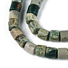 Natural Variscite Beads Strands G-T141-96B-3