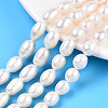 Natural Cultured Freshwater Pearl Beads Strands PEAR-N012-08O-2