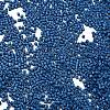 Baking Paint Glass Seed Beads X-SEED-S042-05B-75-3