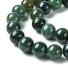 Natural Moss Agate Beads Strands X-GSR10mmC001-3
