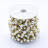 Natural Freshwater Pearl Handmade Beaded Chains CHC-L036-12G-2