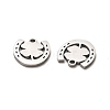 316 Surgical Stainless Steel Charms STAS-H190-14P-03-2