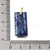 Natural Lapis Lazuli Pendants GG-CBA7610-05G-01-3