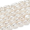 Natural Cultured Freshwater Pearl Beads Strands PEAR-N012-05G-5