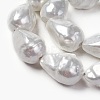 Shell Pearl Beads Strands BSHE-O018-06-2