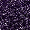 MIYUKI Round Rocailles Beads SEED-X0054-RR0308-3