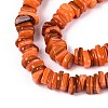 Natural Freshwater Shell Beads Strands SHEL-N037-01B-3
