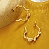 Stainless Steel Stud Earrings for Women PU1940-1-1