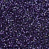 MIYUKI Delica Beads X-SEED-J020-DB1756-3