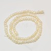 Grade B Natural Cultured Freshwater Pearl Beads Strands X-PEAR-L003-D-03-3