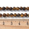 Round Tiger Eye Beads Strands Z0RQT011-AB-2