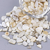 Freshwater Shell Beads SHEL-S266-11-3