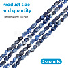 2 Strands Natural Sodalite Nuggets Beads Strands G-GO0001-43-2