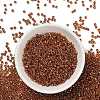 TOHO 8/0 Round Beads X-SEED-TR08-1825-2