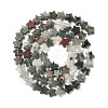 Natural Bloodstone Beads Strands G-H087-C05-01-3