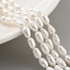 Natural Cultured Freshwater Pearl Beads Strands PEAR-P062-06F-1