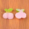 Resin Cabochons CRES-B3049-A118-2