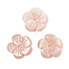 Natural Pink Shell Carved Beads SSHEL-I026-12B-02-1