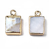 Natural Freshwater Shell Charms SHEL-N026-147-2