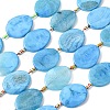 Natural Dragon Veins Agate Beads Strands G-P605-L01-01-2