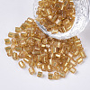 6/0 Two Cut Glass Seed Beads SEED-S033-05B-04-1