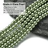 Eco-Friendly Dyed Glass Pearl Beads Strands HY-A008-6mm-RB055-3