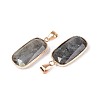 Natural Labradorite Pendants G-N349-03C-G-2