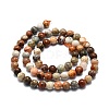 Natural Fossil Coral Beads Strands G-E576-03A-2