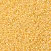 MIYUKI Round Rocailles Beads X-SEED-G008-RR0202-3