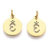 304 Stainless Steel Charms STAS-Q201-T446G-04-2