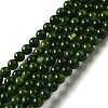 Natural Freshwater Shell Beads Strands X-SHEL-H003-03A-1