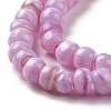 Natural Cultured Freshwater Shell Beads Strands SHEL-F002-01F-4