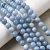 Natural Dyed White Jade Beads Strands G-M402-C03-27-1